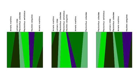 Tres jardines verticales en Gandía Tres jardines verticales en Gandía