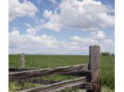 Numpy básico: como añadir elementos arrays np.append()