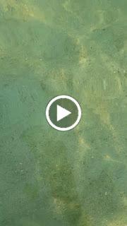 Un paseo por la Puglia