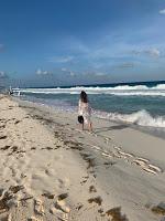 ¿Dónde Hospedarse? Cancún vs Playa del Carmen