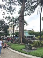 Lo bueno y lo malo de Guayaquil
