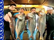 Chancay prepara ceviche grande región...