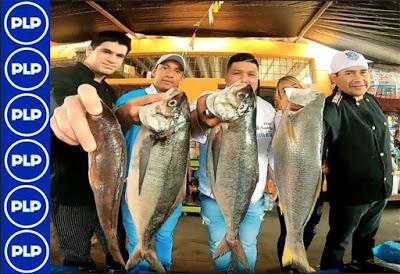 CHANCAY PREPARA EL CEVICHE MÁS GRANDE LA REGIÓN...