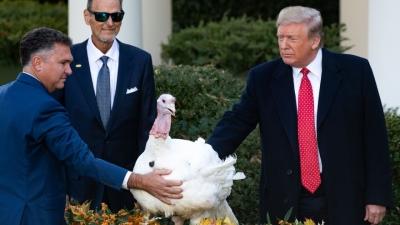 Trump se compara con los guanajos de Acción de Gracia