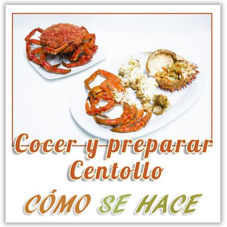  cocción y preparación de centollo