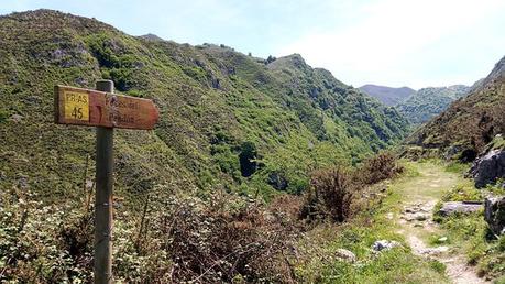 Foces del Rio Pendon