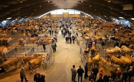 Mercado de ganado de Pola de Siero