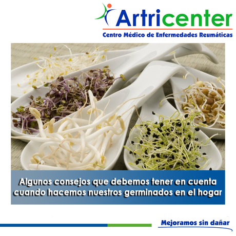 Algunos consejos que debemos tener en cuenta cuando hacemos nuestros germinados en el hogar