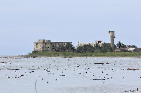 Mar de Ansenuza (3 de noviembre de  2019)