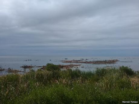 Mar de Ansenuza (3 de noviembre de  2019)