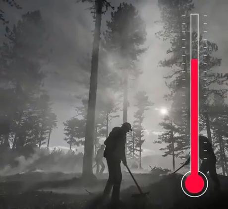 Madrid acoge del 2 al 13 de diciembre la XXV Conferencia de las Partes de la Convención Marco de Cambio Climático de la ONU, también conocida como Cumbre anual del Clima de Naciones Unidas, o COP25. Video insertado