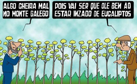 [SONRÍA, POR FAVOR] Es viernes, 29 de noviembre