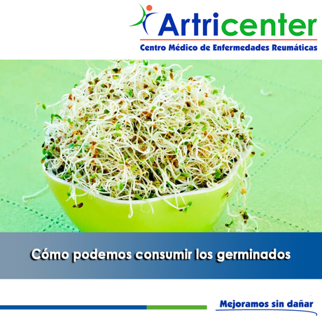 Artricenter: Cómo podemos consumir los germinadosa