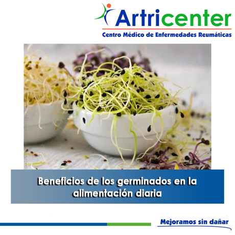 Artricenter: Beneficios de los germinados en la alimentación diaria