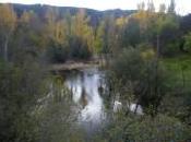 Otoño palabras