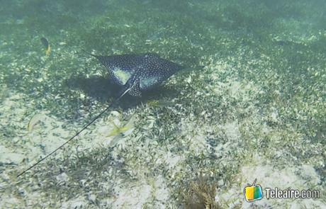 Puerto Morelos, una playa distinta para redescubrir la Riviera Maya