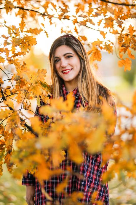 Del otoño a la Navidad Del otoño a la Navidad