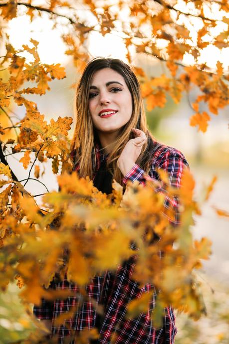 Del otoño a la Navidad Del otoño a la Navidad