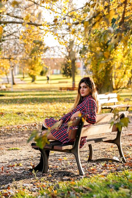 Del otoño a la Navidad Del otoño a la Navidad