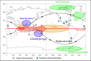 La temperatura del Océano Índico Oriental está aumentando preocupantemente