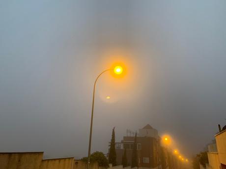 Humanos en la niebla