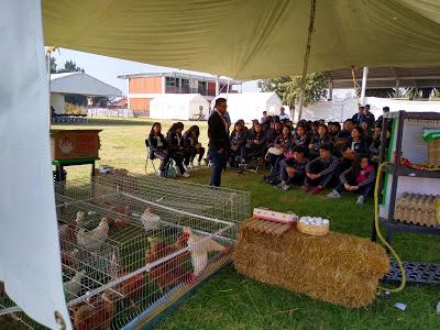 EXPO ORIENTA EN LA EPO 142 NEXQUIPAYAC