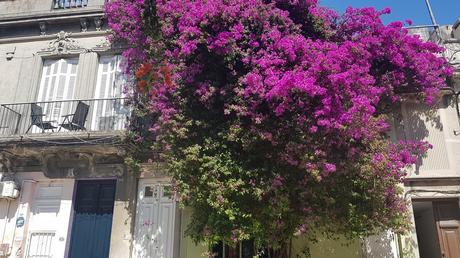 Una lección de versatilidad constructiva en 120 años de permanencia. 20191128_101219