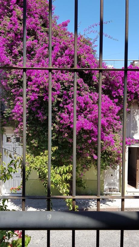 Una lección de versatilidad constructiva en 120 años de permanencia. 20191128_104647