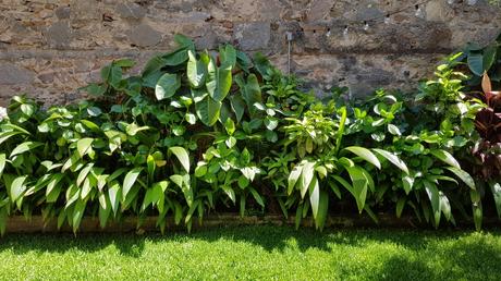 Una lección de versatilidad constructiva en 120 años de permanencia. 20191128_103047