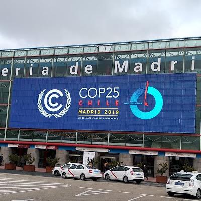 PEDRO POZAS ELEGIDO POR LA SECRETARIA DEL CAMBIO CLIMÁTICO DE LAS NACIONES UNIDAS COMO OBSERVADOR EN LA COP25