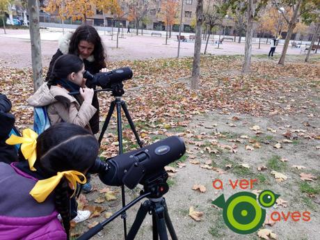 Abrazos, cerdo vietnamita, aves marinas y rapaces en el parque de “los picoletos”