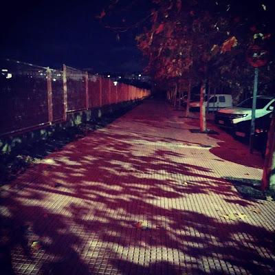 APAGONES, CHAPUZAS EN LAS FRONTERAS Y ACTO EN DEFENSA DE LA MUJER.