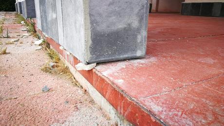 APAGONES, CHAPUZAS EN LAS FRONTERAS Y ACTO EN DEFENSA DE LA MUJER.