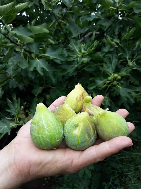 Pizza con jamón ibérico, queso de cabra y higos