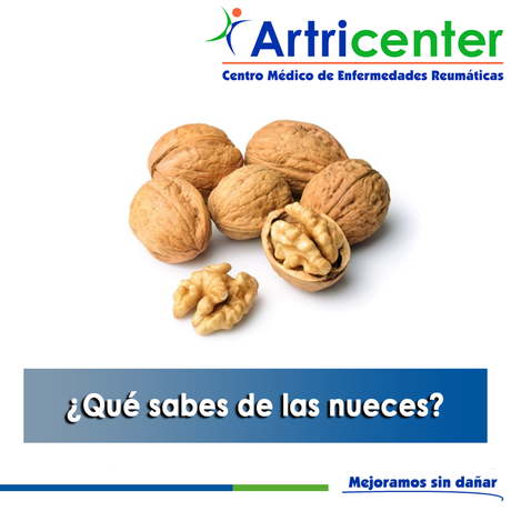 Artricenter: ¿Qué sabes de las nueces? Artricenter: ¿Qué sabes de las nueces?