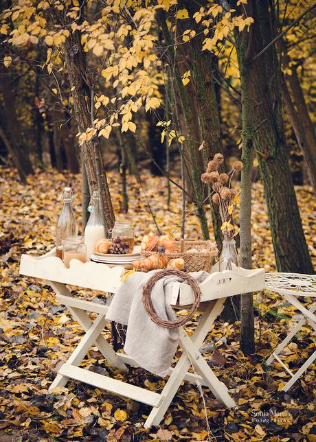 Fotografía culinaria en exterior. Otoño fotografía culinaria en exterior