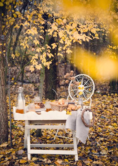 Fotografía culinaria en exterior. Otoño fotografía culinaria en exterior