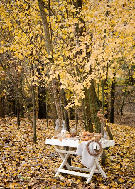Fotografía culinaria en exterior. Otoño fotografía de otoño