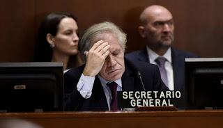 Oea: el informe escondido