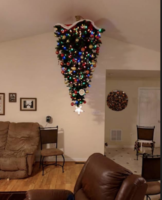 Protegiendo el árbol navideño de las garras de nuestros gatos