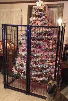 Protegiendo el árbol navideño de las garras de nuestros gatos
