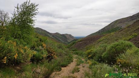 RUTA del DESFILADERO DE LOS CALDERONES desde PIEDRASECHA Camino algo tomado por la maleza bajando a Santas Martas por Vichidiechas