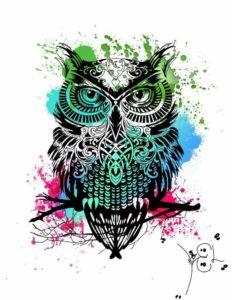 Empieza el año con buena suerte