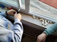 Cuidemos el Medio Ambiente