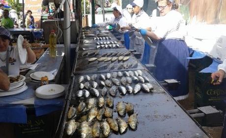 Festival de las Sardinas