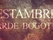 Estambre Arde Bogotá perro parte atrás coche