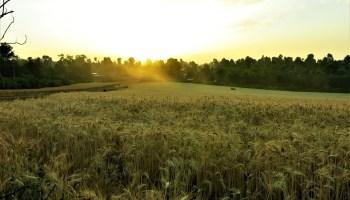 El peligro de idealizar la pobreza: No Siempre están sonriendo, no están siempre felices cuando no tienen nada