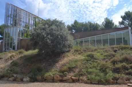 BODEGAS PEGALAZ: viernes 22 de noviembre de 2019: I.G.P. Ribera del Gállego-Cinco Villas BODEGAS PEGALAZ: viernes 22 de noviembre de 2019: I.G.P. Ribera del Gállego-Cinco Villas