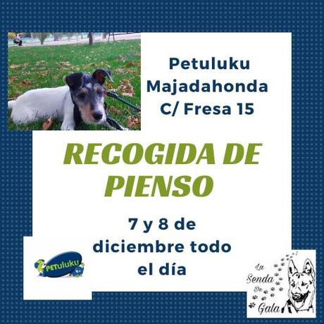 recogida pienso majadahonda