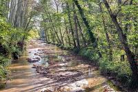 Visita Santa Coloma de Farners